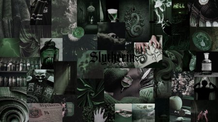 Эстетика слизерин