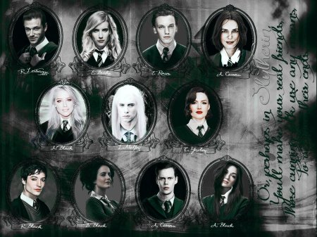 Гарри поттер слизерин драко малфой