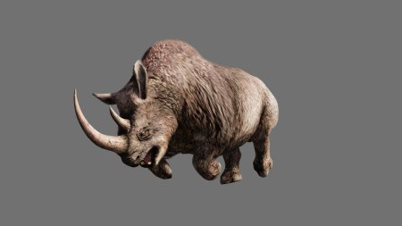 Шерстистые носороги