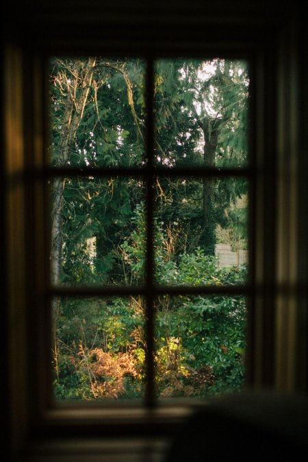 Вид из окна на сад