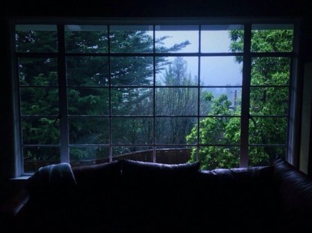 Окно с видом на лес