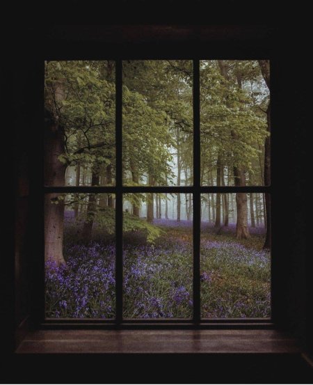 Окно с видом