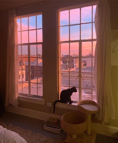 Комната с окнами