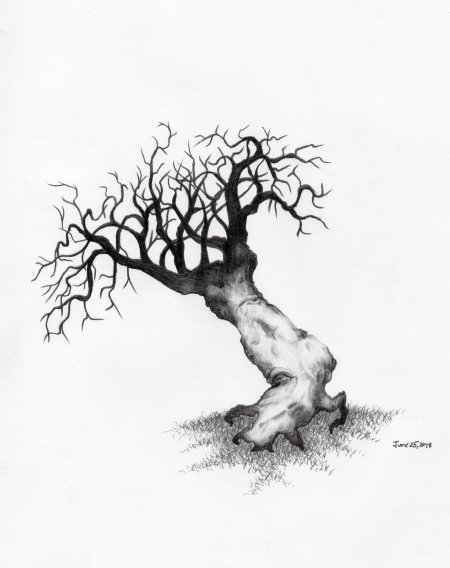 Рисунки дерева