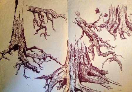 Рисунок дерева с корнями