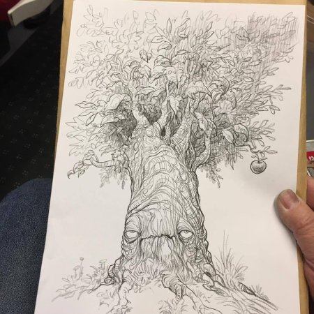 Дерево карандашом