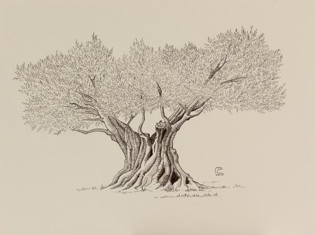 Дерево скетч