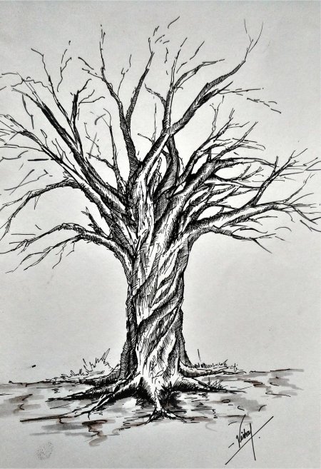 Страшное дерево карандашом