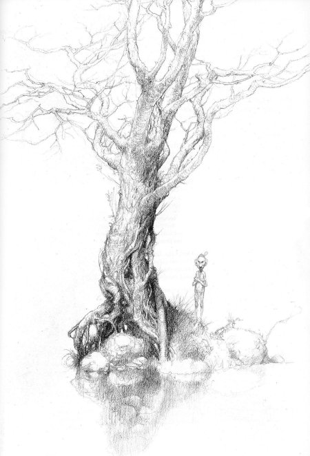 Рисунки дерева карандашом