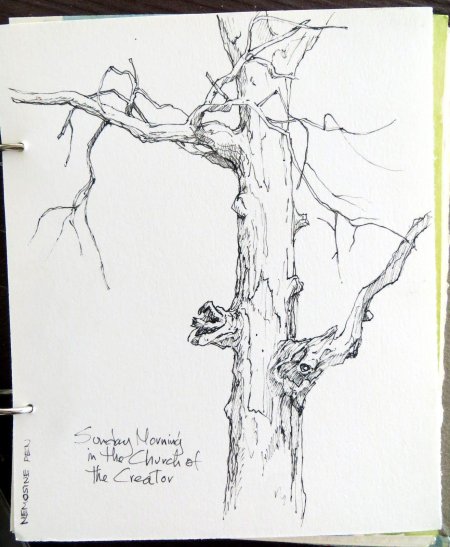 Дерево зарисовка