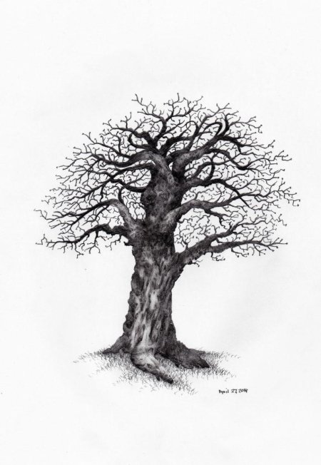 Дерево эскиз