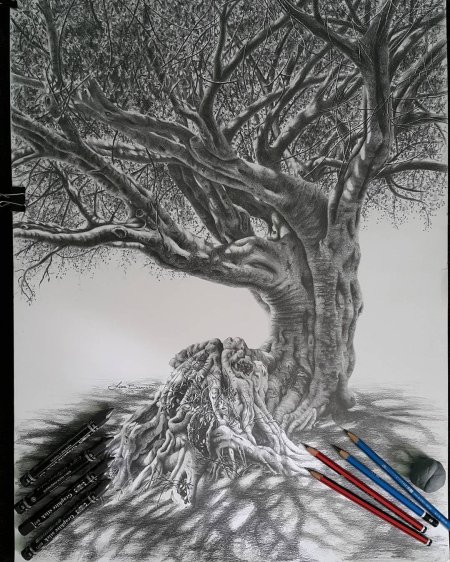 Дерево карандашом рисунок