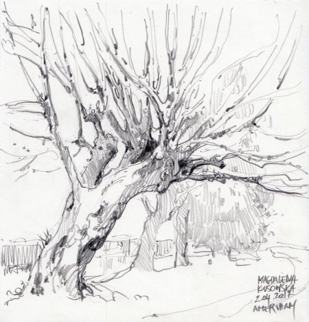 Зарисовки первоплановых элементов пейзажа этюды деревьев