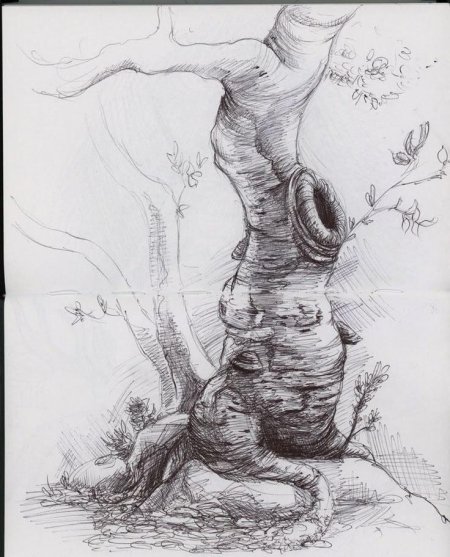 Корявое дерево рисунок