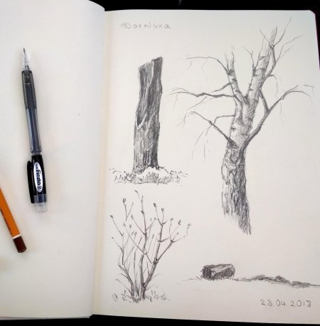 Наброски деревьев карандашом