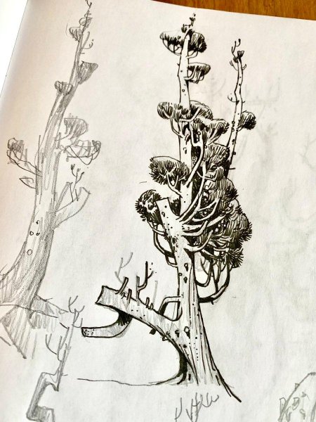 Дерево графика