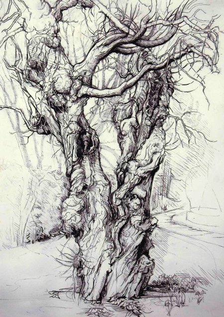 Дерево арт карандашом