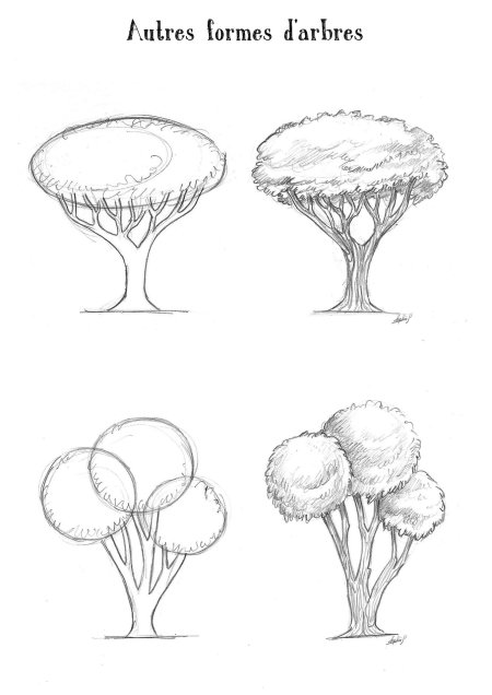 Рисование дерева