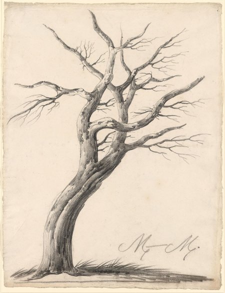 Дерево простым карандашом