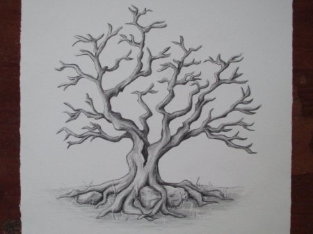 Дерево рисунок карандашом