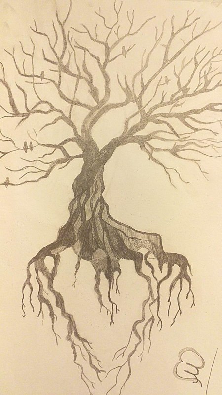 Красивое дерево с корнями