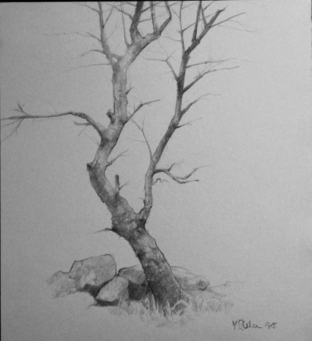 Дерево карандашом