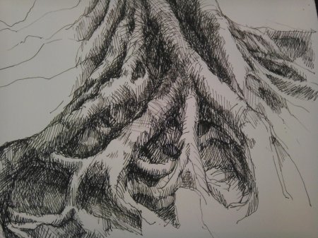 Кора дерева карандашом