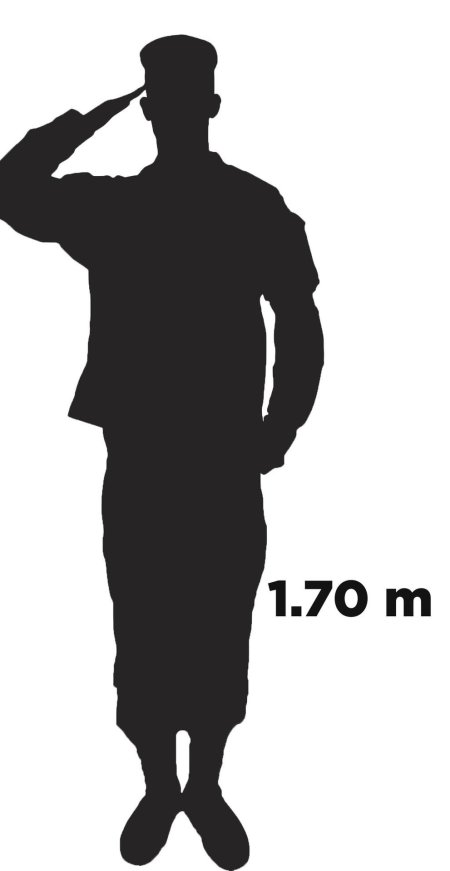 Силуэт солдат