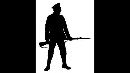 Силуэт военного