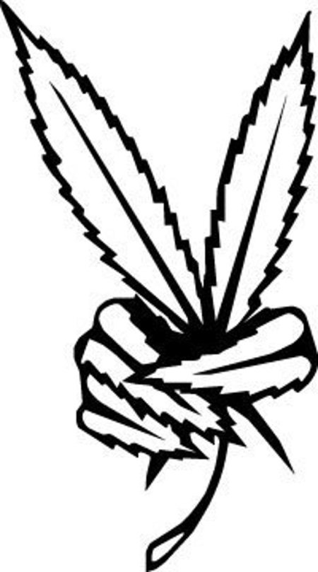 Конопля эскиз