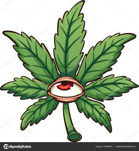 Конопля с глазами