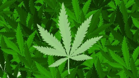 Конопля фон