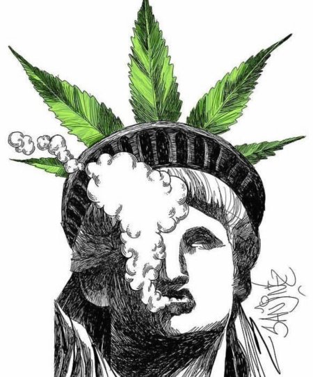 Конопля ганжа