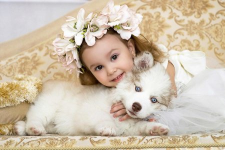 Красивые собаки девочки