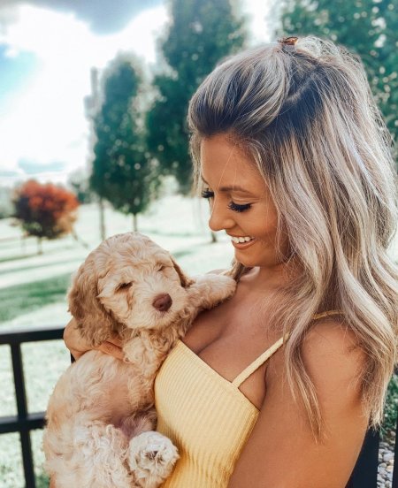 Собака милая