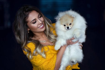 Шпиц девочка