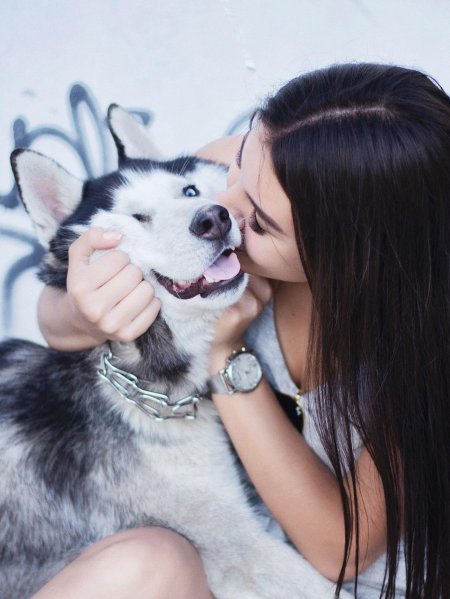 Девушка с собаками