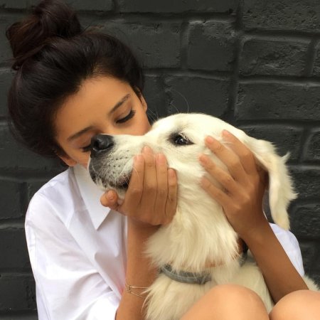 Девушка с собаками