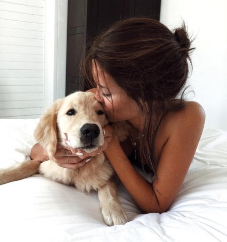 Девушка с собаками