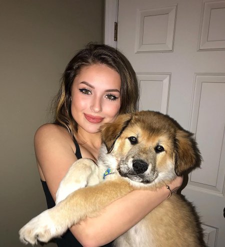 Красивая девушка с собакой