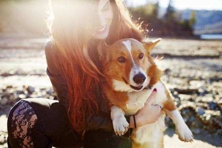 Фотосессия девушка с собакой