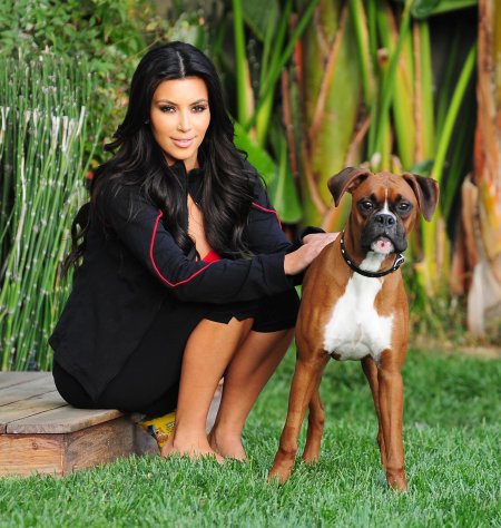 Ким кардашьян и ее собака
