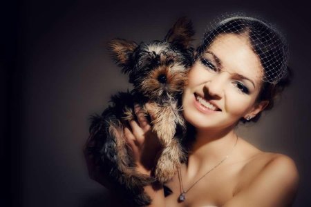 Фотосессия с собакой в студии