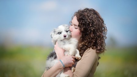 Австралийская овчарка щенки