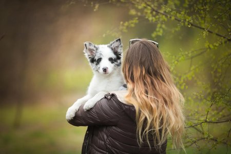 Девушки с собаками