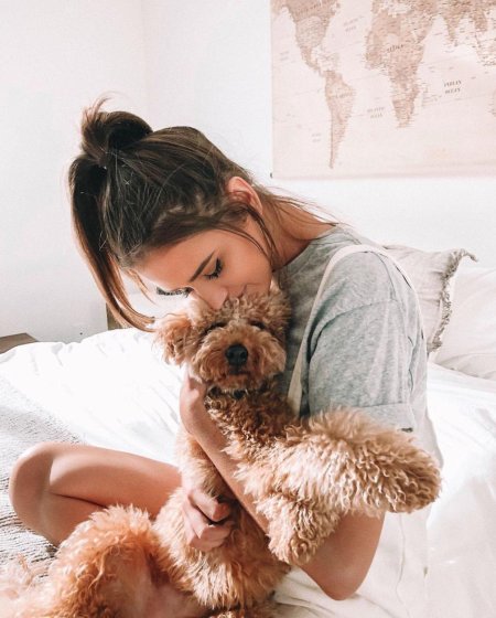 Фотосессия с собаками