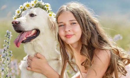 Собака девушка
