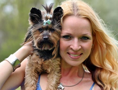 Йоркширские терьеры