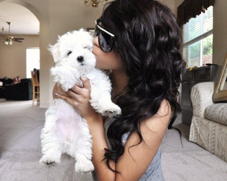 Брюнетка с собакой