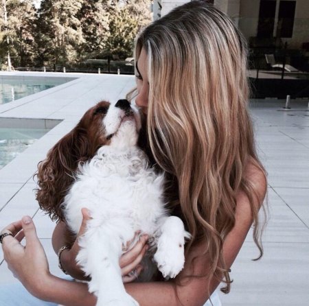 Девушка с собаками